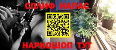 каннабис Камышлов