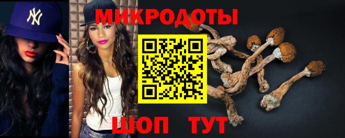 Зеленодольск  Галлюциногенные грибы ЛСД  Вход с VPN  Псилоцибиновые грибы прущие грибы 